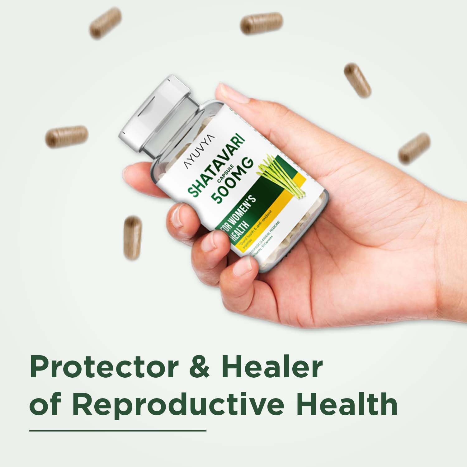 Ayuvya Shatavari Dry Extract Capsules - 500mg - Herb for Women's Health, Lactation Support, Stress Relief, and Anti-Aging, 60 Capsules | As Seen on Shark Tank 1