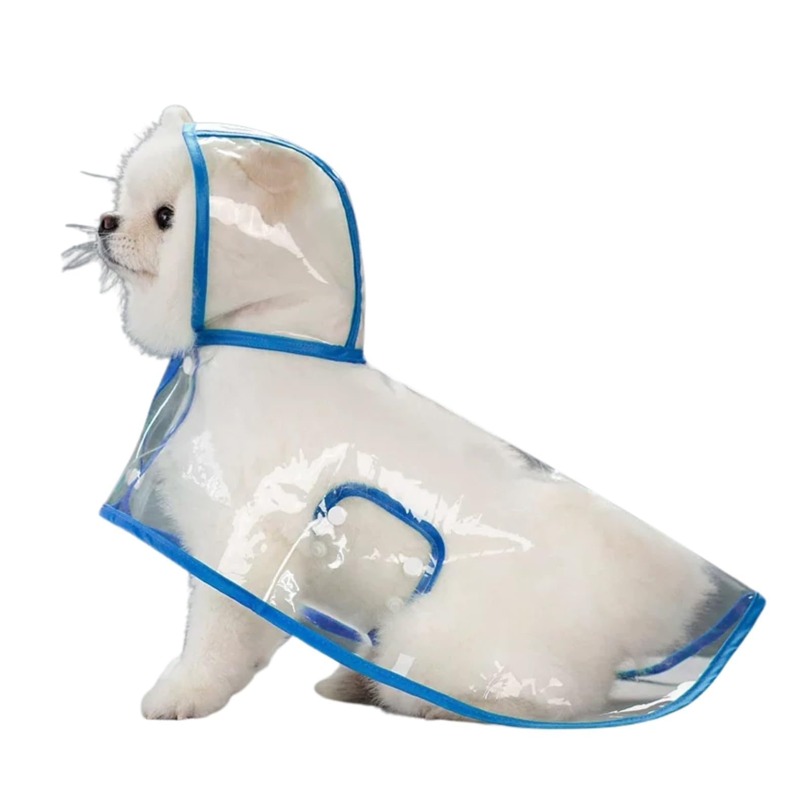 BT Bear Transparent Waterproof Dog Raincoat,Lightweight Pet Rain Coat Rain Jacket for Puppy Small Dogs Outdoor, Blue_S