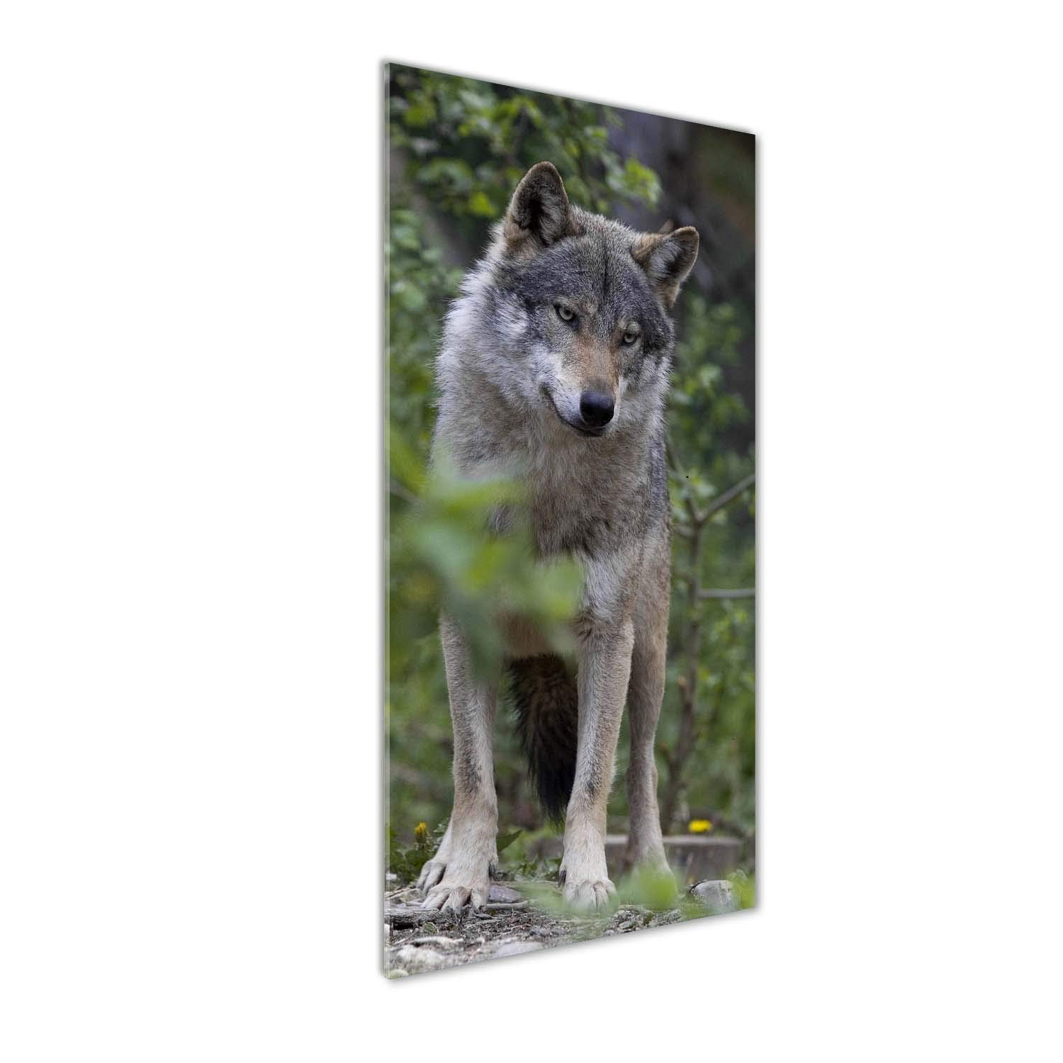 Impression sur verre acrylique Tulup 50x125 : l'art mural haut de gamme