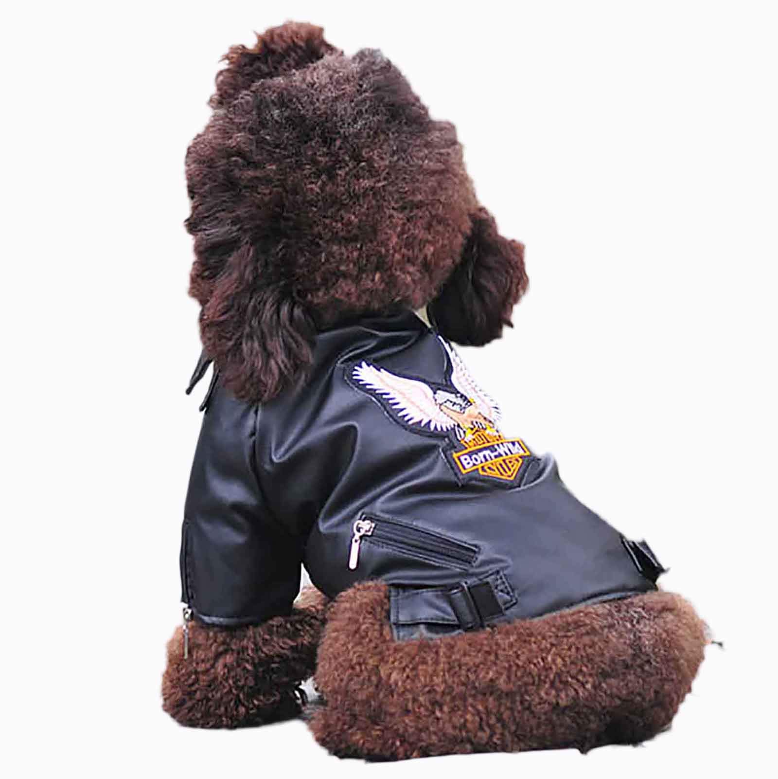 Hmpet Abrigo de Invierno para Perro,Chaqueta Impermeable de Cuero PU para Mascotas para Perros Ropa para Mascotas, Chaqueta de Cuero para Perros pequeños, medianos y Grandes,Negro,XXS