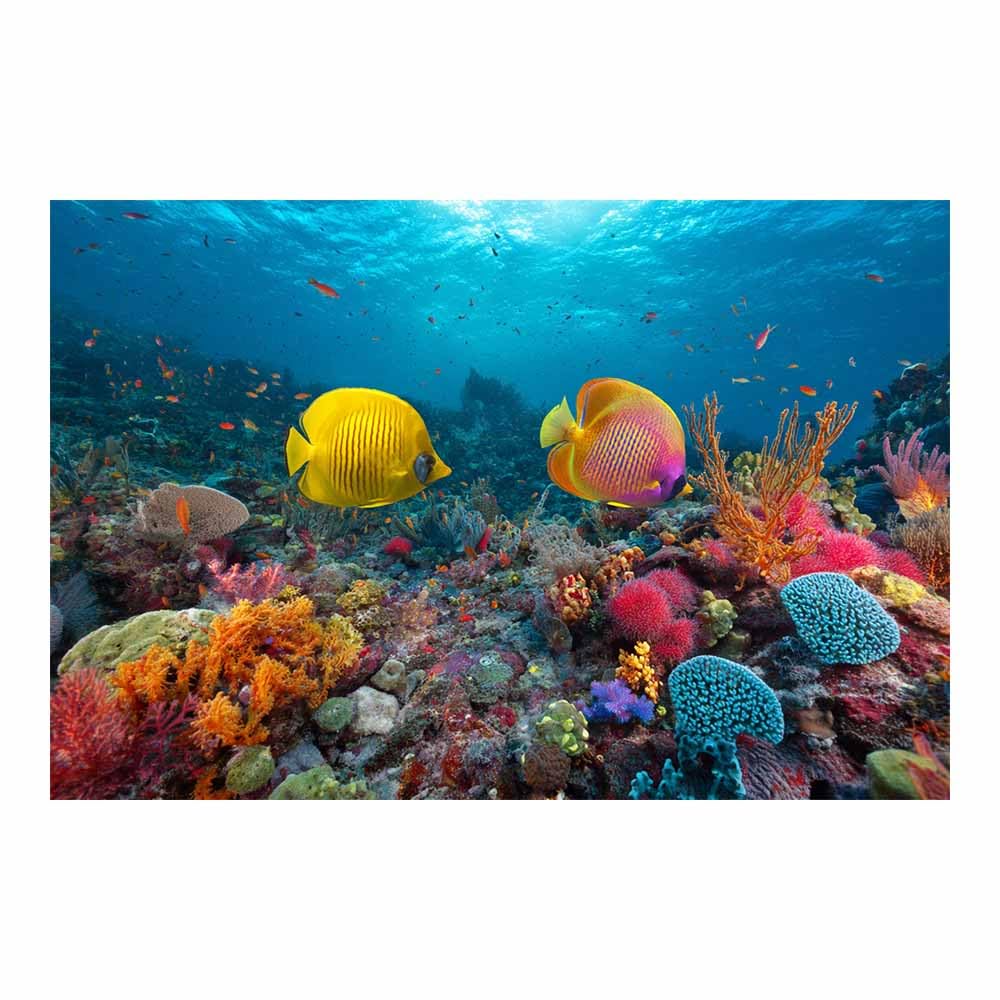 HOQIU Beautiful wall art Yellow Butterflyfish Reef canvas artwork for wall, art prints, For living room, bedroom, bathroom, dining room, painting and decor.(Multicolor)-30x40cm Unframed