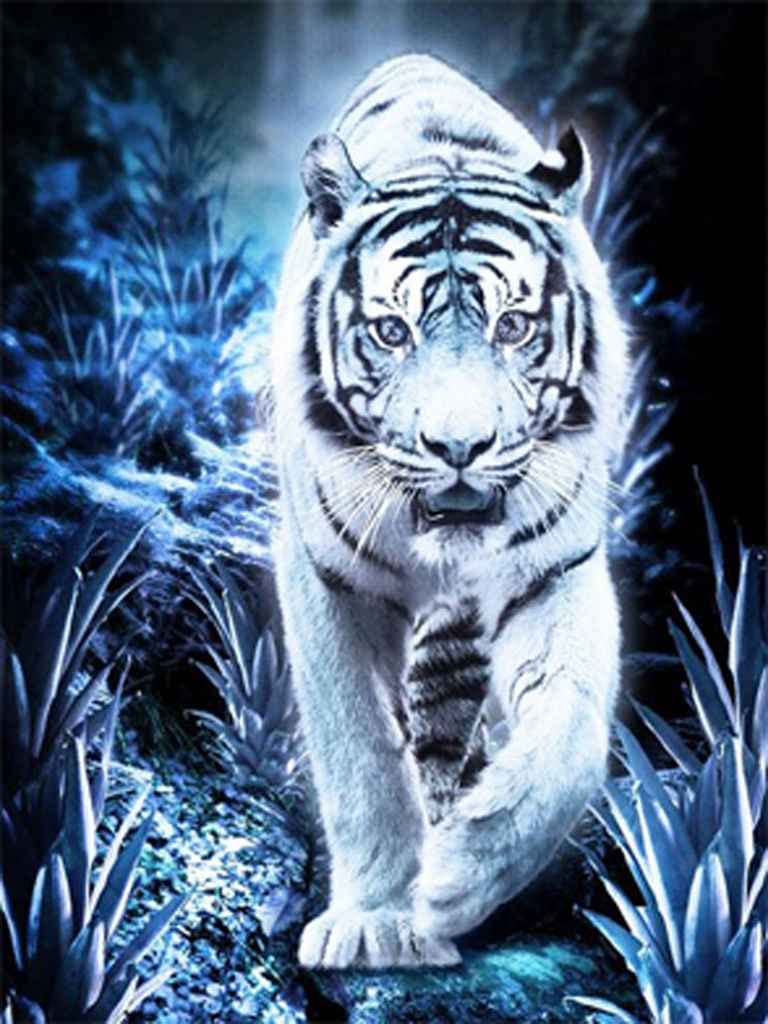 Kit De Peinture Diamant 5D à Faire Soi-même Par Numéro, Tigre Blanc,  Papillons, Animal Mignon,, image size:768x1024