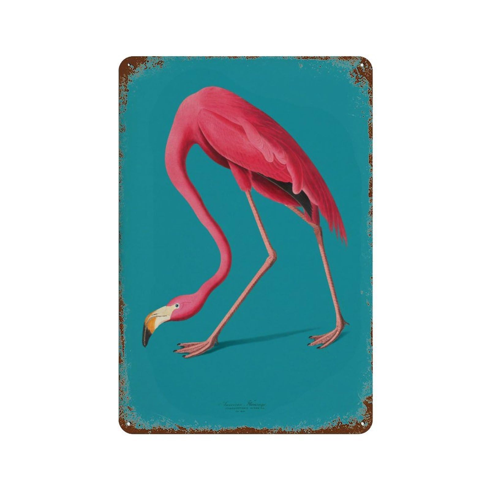 xiaoxiaoshen Vintage Flamingo Illustration Coastal Home Decor Wall Decor Art Metal Tin Poster Modern Home Decor Art Home Bar Shop Decorations Vintage Sign 30x20cm
