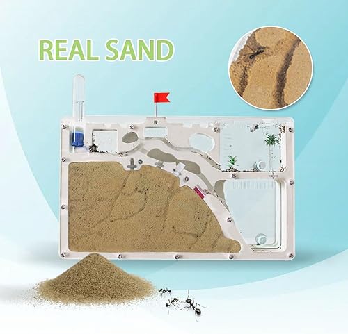 Miniatura 2 de Ant Farm Castle, Granjas de hormigas con arena amarilla y kit de herramientas, kit de observación de colonias de hormigas, kit de ciencia de hábitat