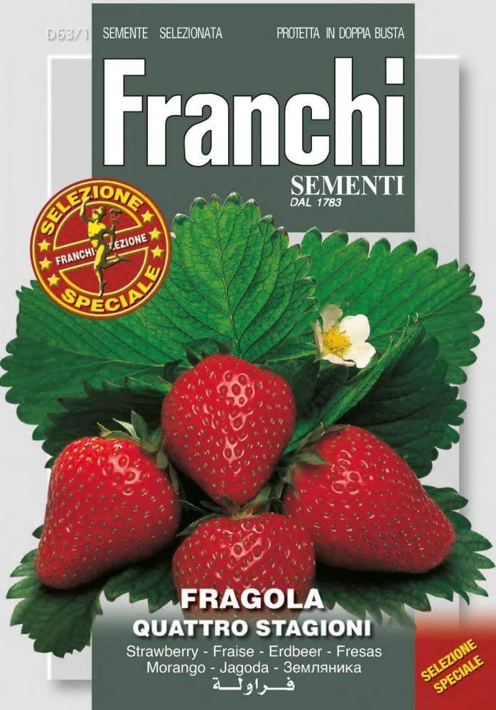 Franchi Strawberry 4 Seasons