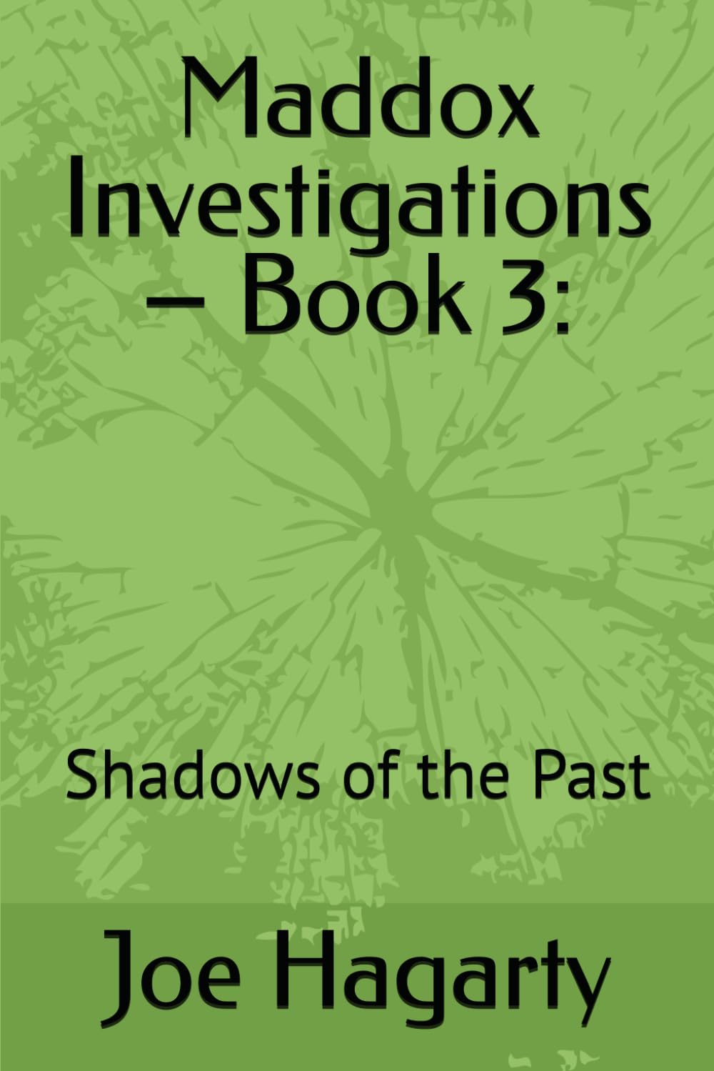 Maddox Investigations – Book 3:: Shadows of the Past (Maddox Detectives)
