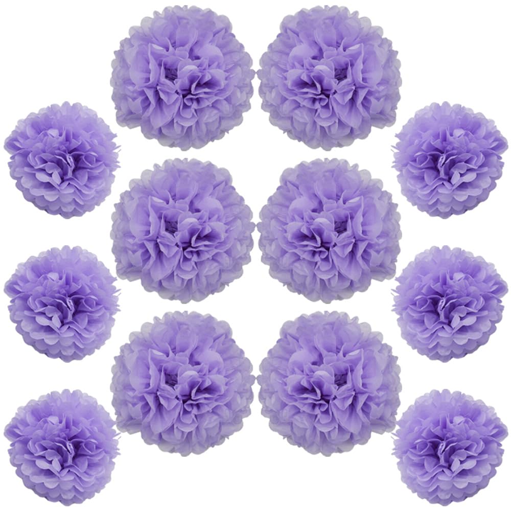 Ruidee 12-Piece Tissue Paper Pompoms - 10in & 12in Hanging Tissue Flowers Decorations - Color Paper Flower Balls for Party & Wedding Decoration (Light