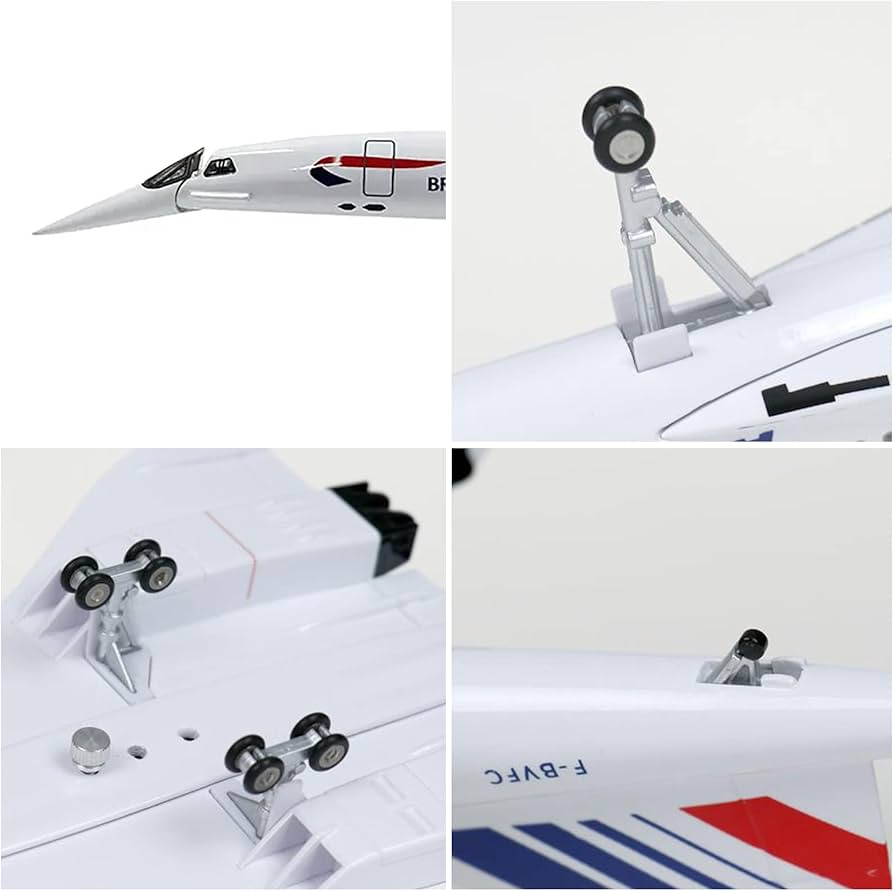 コンコルド記念品 Amazon.co.jp: AZIZAT 19。7