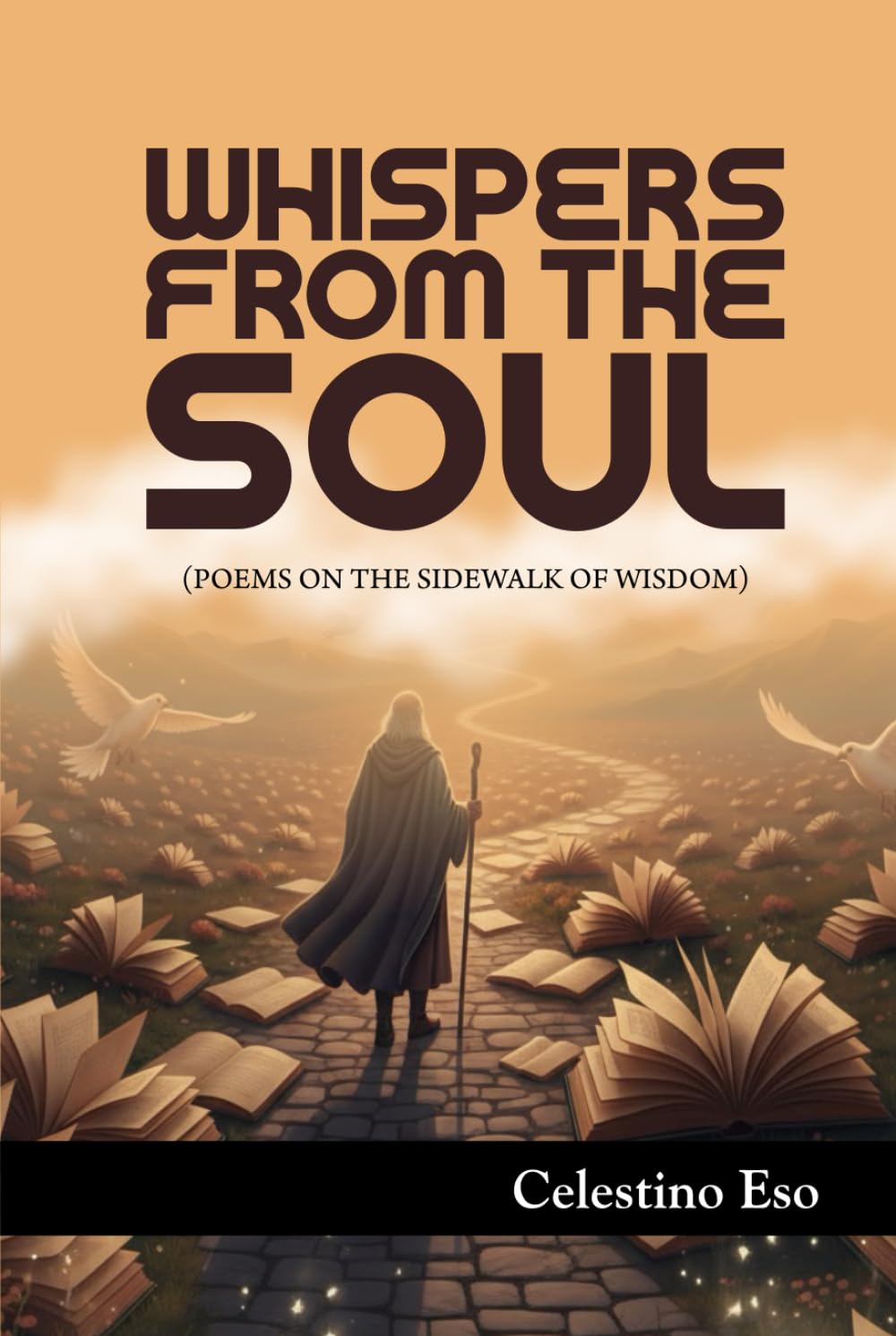 WHISPERS FROM THE SOUL: Poems On The Sidewalk Of Wisdom