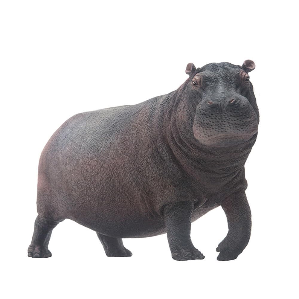 AMITD Hippopotamus Hippo Figure Realistic Animal Model Collector Decor Gift for Adult