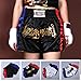 Anotherboxer Unisex Muay Thai Boxing Shorts – Breathable Polyester for MMA Kickboxing Fighting Shorts with Elastic Waist, Sports Training & Fitness Use（Black）（2XL）