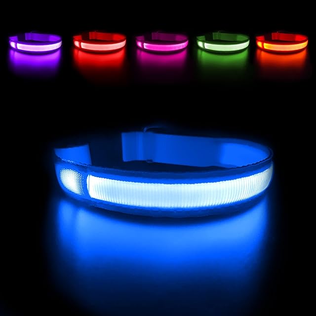 MASBRILL Light Up Dog Collar, LED Dog Collar Lights for the Dark, Rechargeable and Waterproof Flashing Dog Collars with 3 Glowing Modes, Adjustable Pet Collar for Small/Medium/Large Dog(Blue M)
