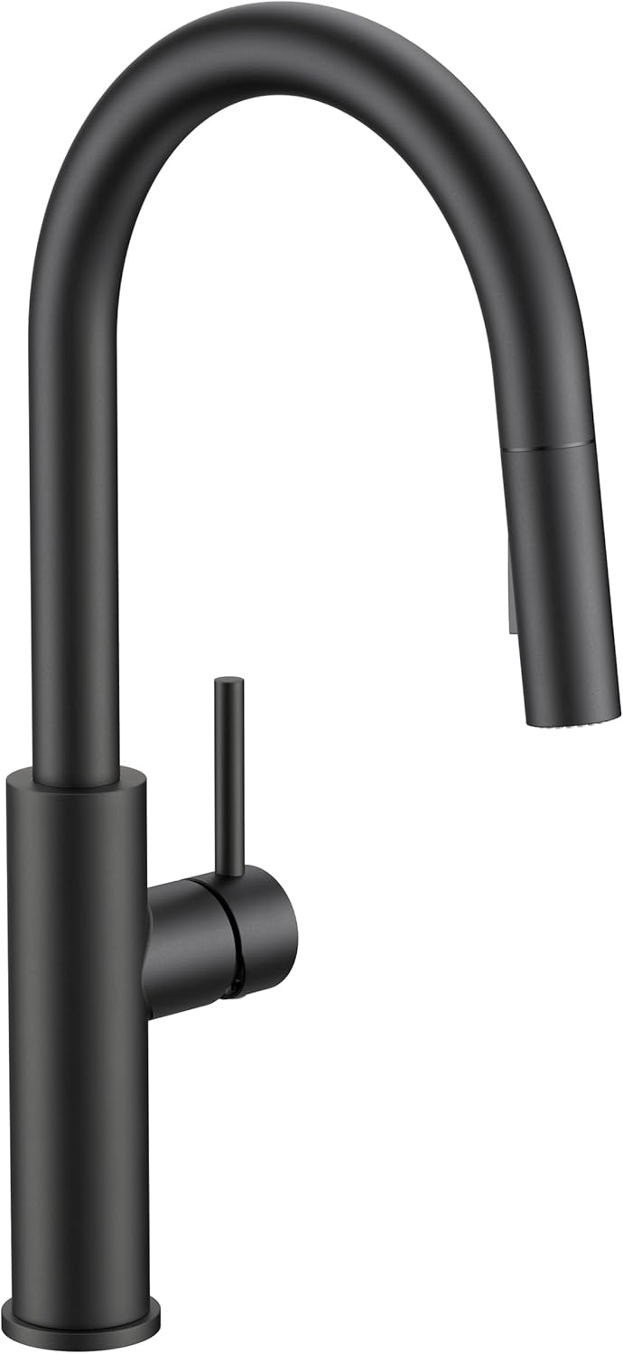 FORIOUS Kitchen Faucet with Pull Down Sprayer, Classic Matte Black, Single Handle High Arc Stainless Steel Kitchen Sink Faucet, 1 or 3 Hole Deck Mount for RV, Bar, Farmhouse, Laundry, Outdoor