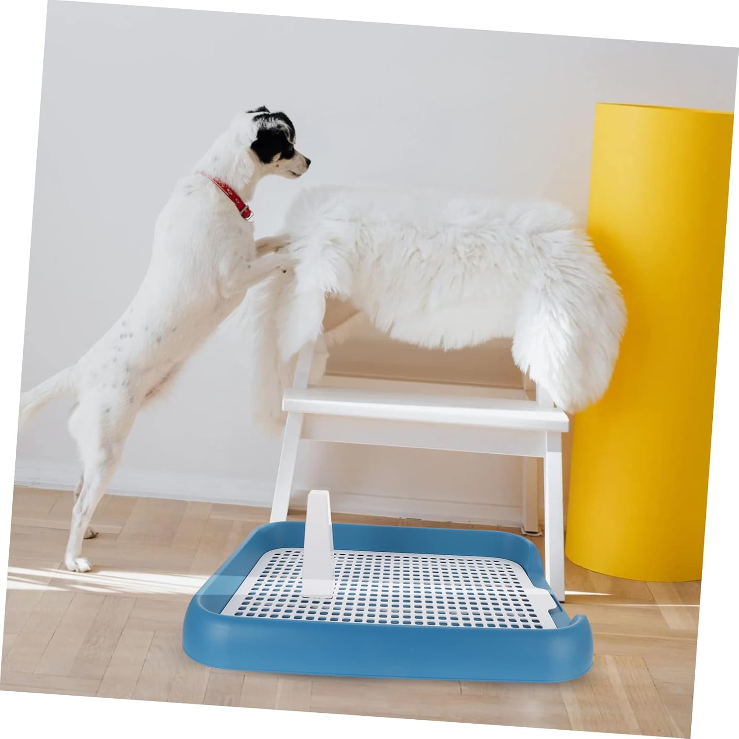 Luxshiny Dog Toilet for Indoor Use with Design Sturdy PP Plastic Potty Tray for Small to Dogs Lightweight and Easy to Clean Promotes Toilet Training and Hygiene