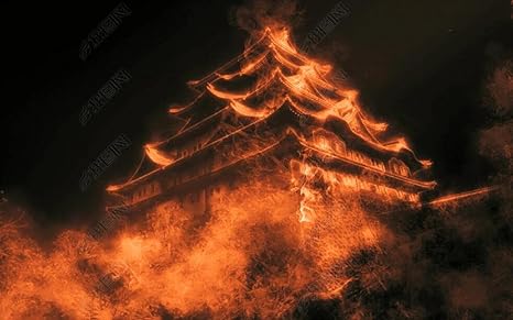 Amazon 壁画3d写真の壁紙 レトロな望楼の炎 壁紙寝室のリビングルームの背景の壁の装飾の壁画 250x175cm 壁紙