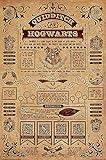 Harry Potter - Movie Poster / Print (Quidditch At Hogwarts) (Size: 24