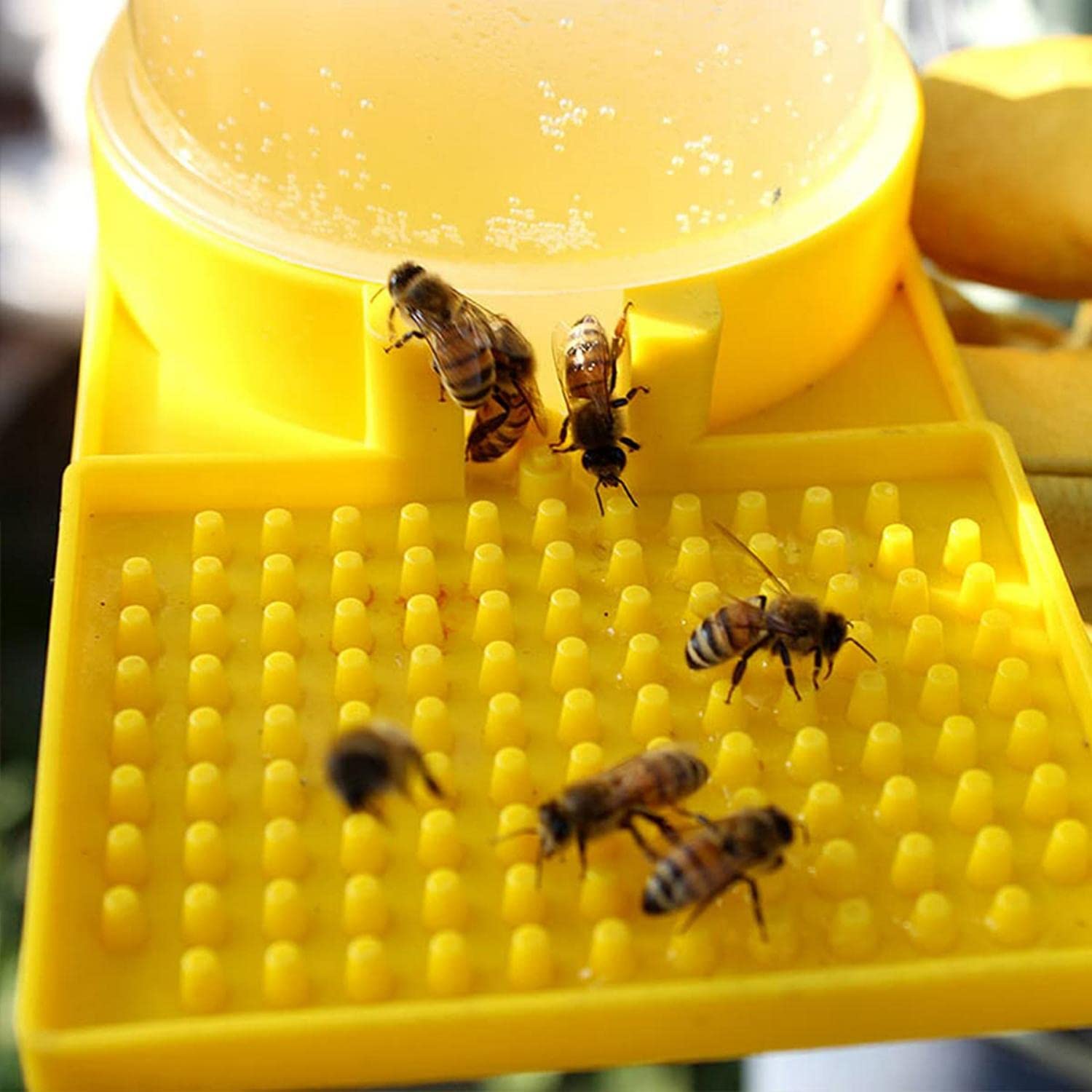 BENBO Bee Feeder Beehive Beekeeping Water Dispenser Honey - View #5