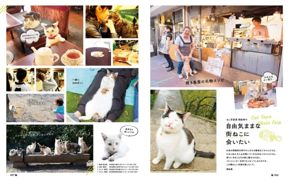 にゃっぷるさま専用 にゃっぷる (昭文社ムック): 9784398294524: Books - Amazon.ca