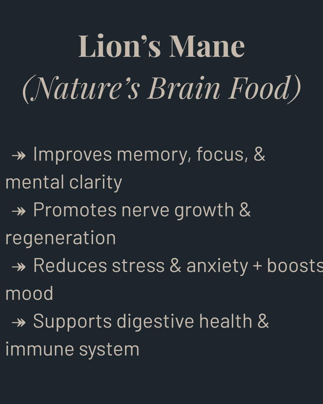 Vitality Mushroom Tincture | Lion’s Mane, Cordyceps, Ashwagandha | Focus + Energy | Dual-Extract | 2 Ounces | 100% Fruiting Bodies