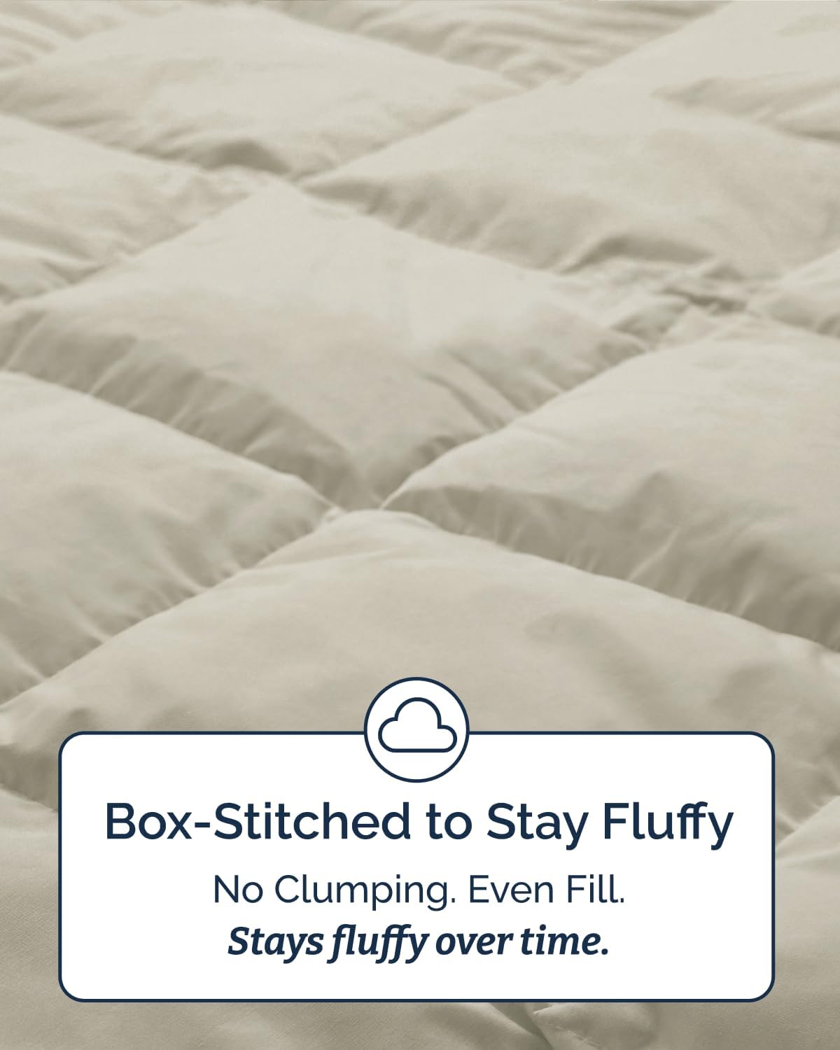 Twin XL Comforter Set - 2 Piece Bed Set for All Seasons - 1 Soft Quilted Comforter with Corner Tabs & 1 Pillow Sham - Comfy, Cozy & Breathable - Premium Down Duvet Insert - Twin XL Size, Brown/Beige