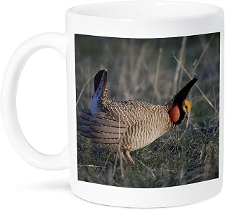 Lesser Prairie-Chicken Ceramic Mug - 11oz White Ceramic, Texas Bird Design, Microwave Safe, Bird Lover Gift
