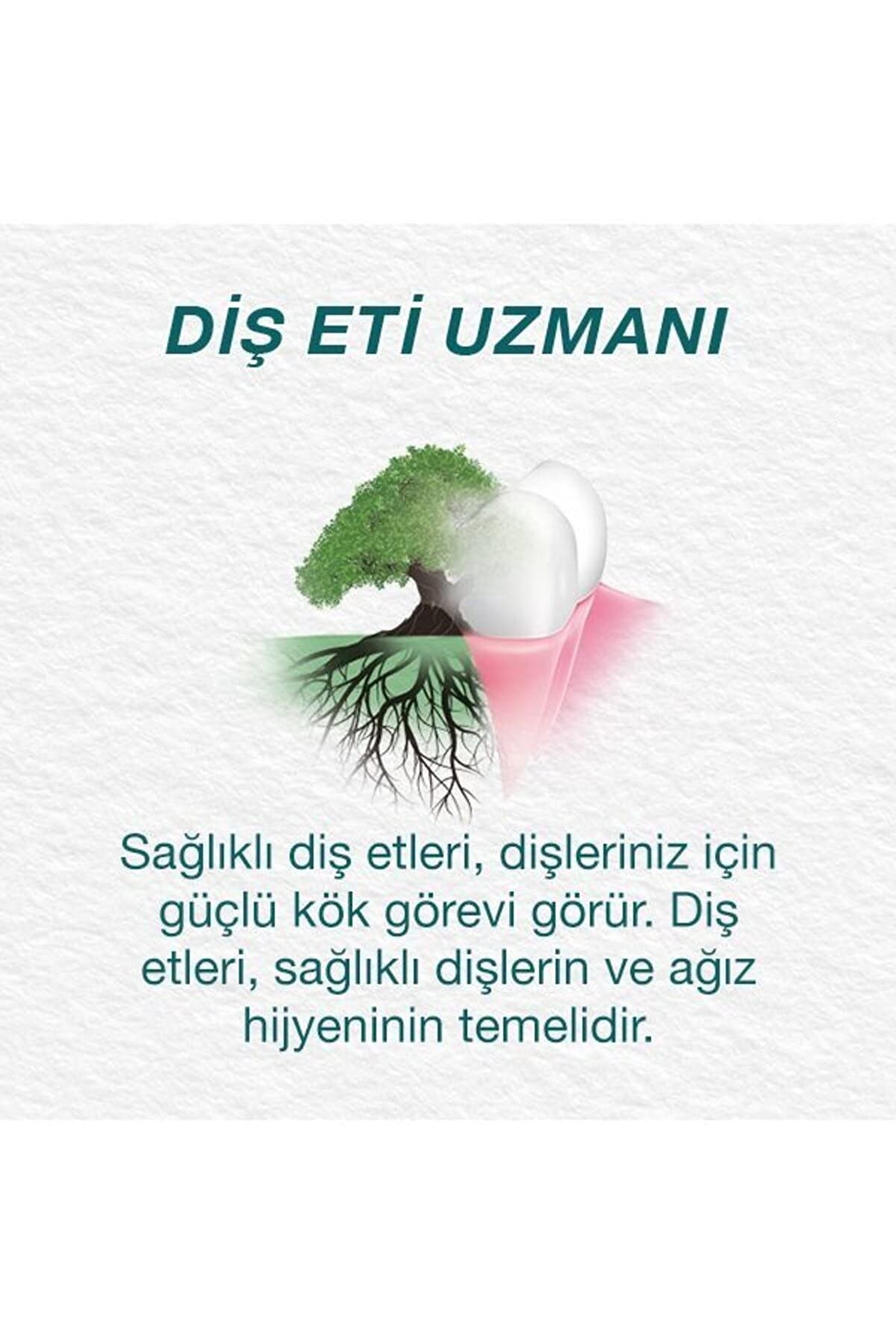 Himalaya Leke Karşıtı Bitkisel Diş Macunu, Florürsüz, Parabensiz, Vejeteryan, Leke Çıkartıcı, Bitkisel Enzim Teknolojisi, 75 ml