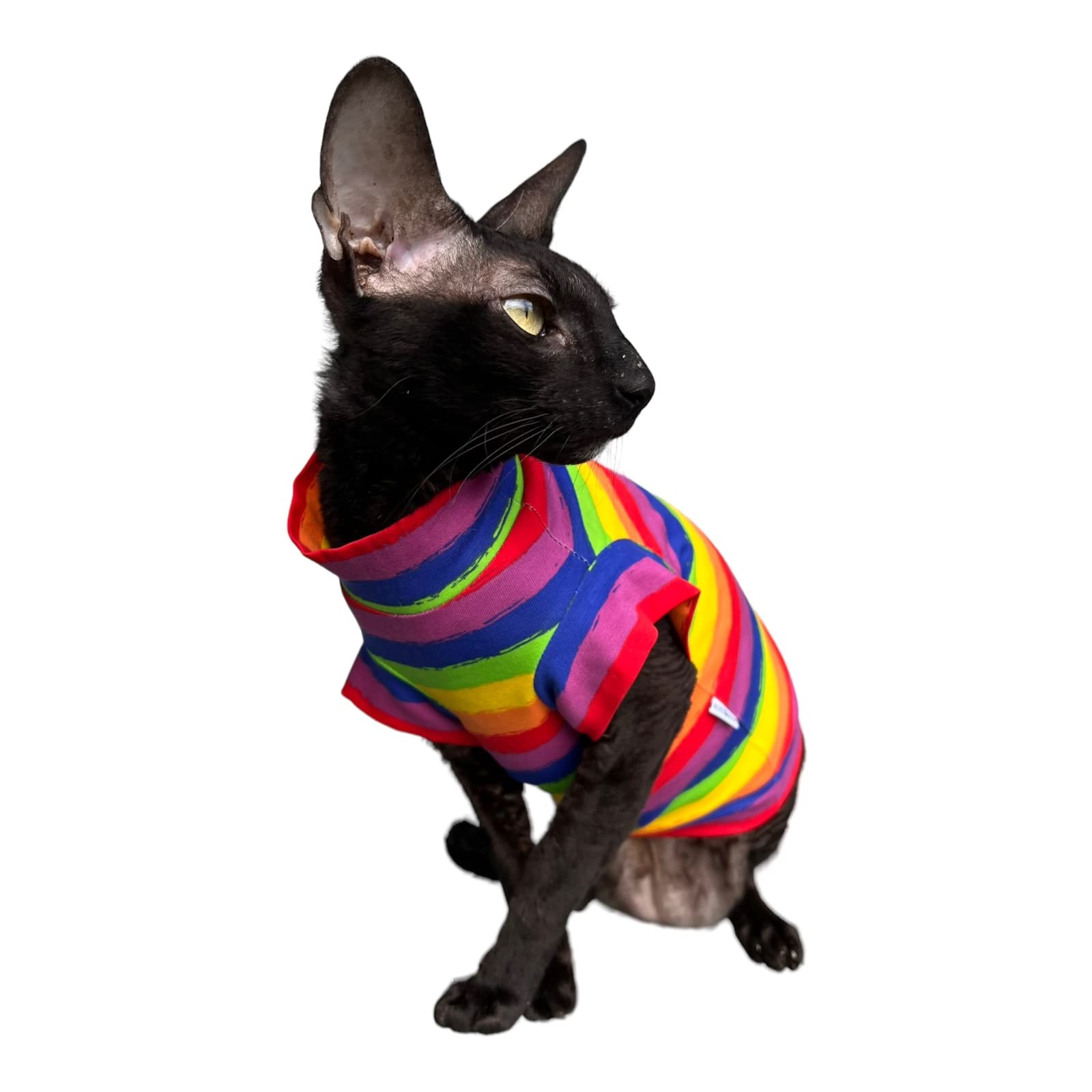 T-shirt pour chat vêtement Sphynx habits chats nus taille S coloré