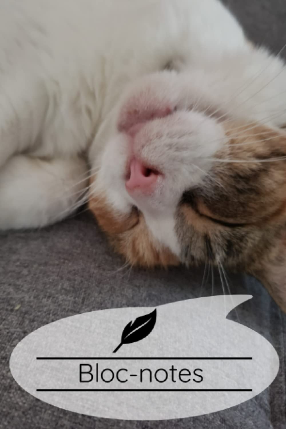 Bloc-notes (Pirouette, la chatte d'espagne tigrée)