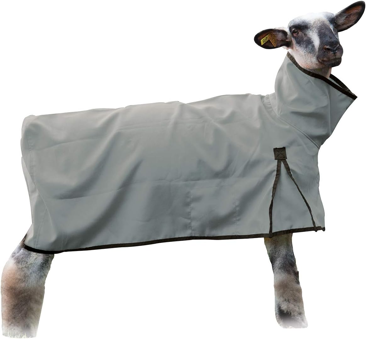 Weaver Leather Livestock Sheep Blanket, Mesh Butt, Extra-Small, Gray
