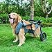 Pet Trolley Adjustable Hind Leg Disabled Dog Mobility Aid Light Rehabilitation Legs Wheelchair Walk Tools(Medium)