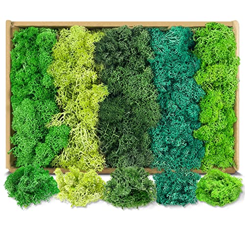 LONNEY Moos Konserviert Deko Moos zum Basteln Moosbild Modellbau Kunst Moos...