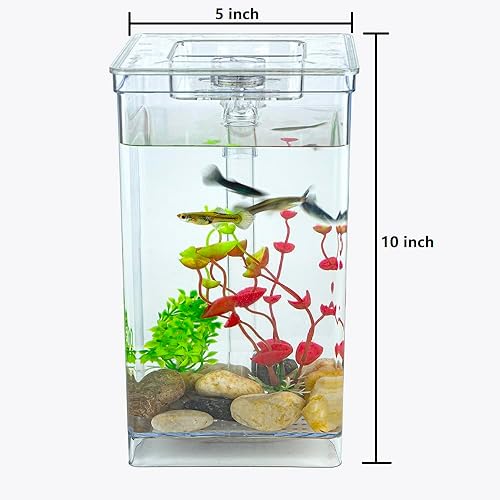 Miniatura 2 de Pequeño tanque de peces cuadrado de un galón, fácil instalación y mantenimiento, con iluminación LED, piedras de decoración y adorno de árbol de