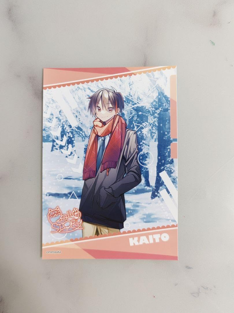 Amazon.co.jp: KAITO ブロマイド サイン入り めろんぱーかー AE : おもちゃ
