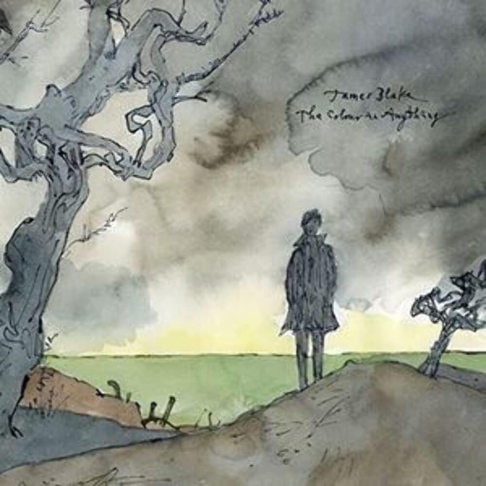 The Colour In Anything [VINYL]