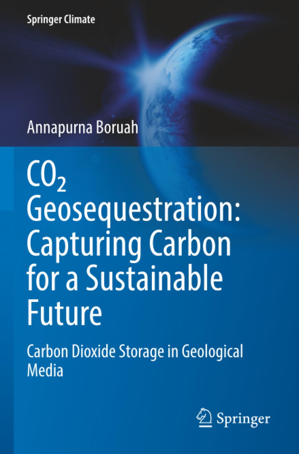 CO₂ Geosequestration: Capturing Carbon for a Sustainable Future: Carbon Dioxide Storage in Geological Media (Springer Climate)
