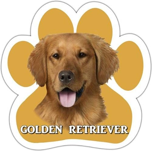 Imán de auto Golden Retriever con diseño único en forma de pata, mide 5.2 x 5.2 pulgadas cubierto con brillo UV para protección contra la intemperie