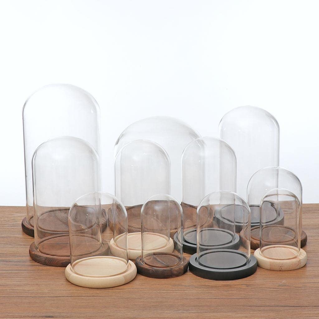 Fenteer Glashaube Glasglocke Glassturz mit Holzboden DIY Landschaften Fairy Garten Terrarium, Braun E