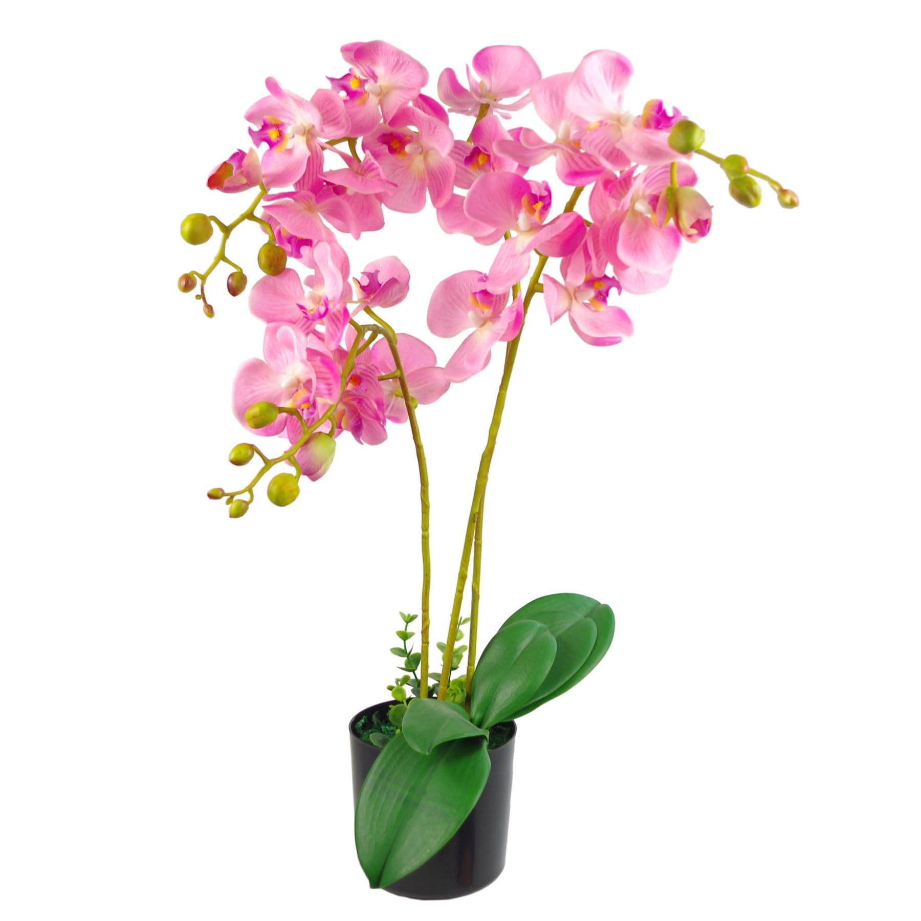 Leaf Light Pink Design Uk Realistic Artificial Orchid Flower Display In Pot, 60Cm