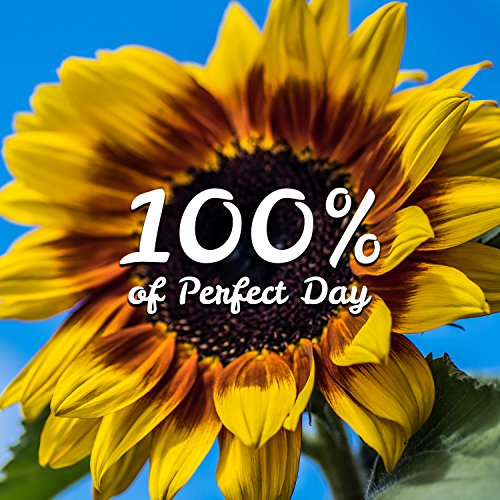 Play 100% of Perfect Day: Positive Energy Concentration and Total Play 100% of Perfect Day: Positive Energy Concentration and Total