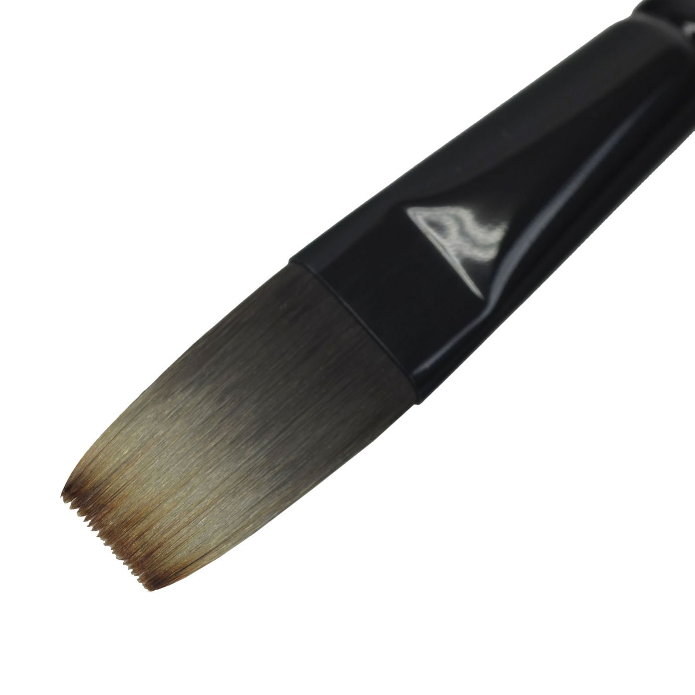Amazon | アルテージュ 画筆 キャムロンプロ 610 16号 164316 | 絵具 通販
