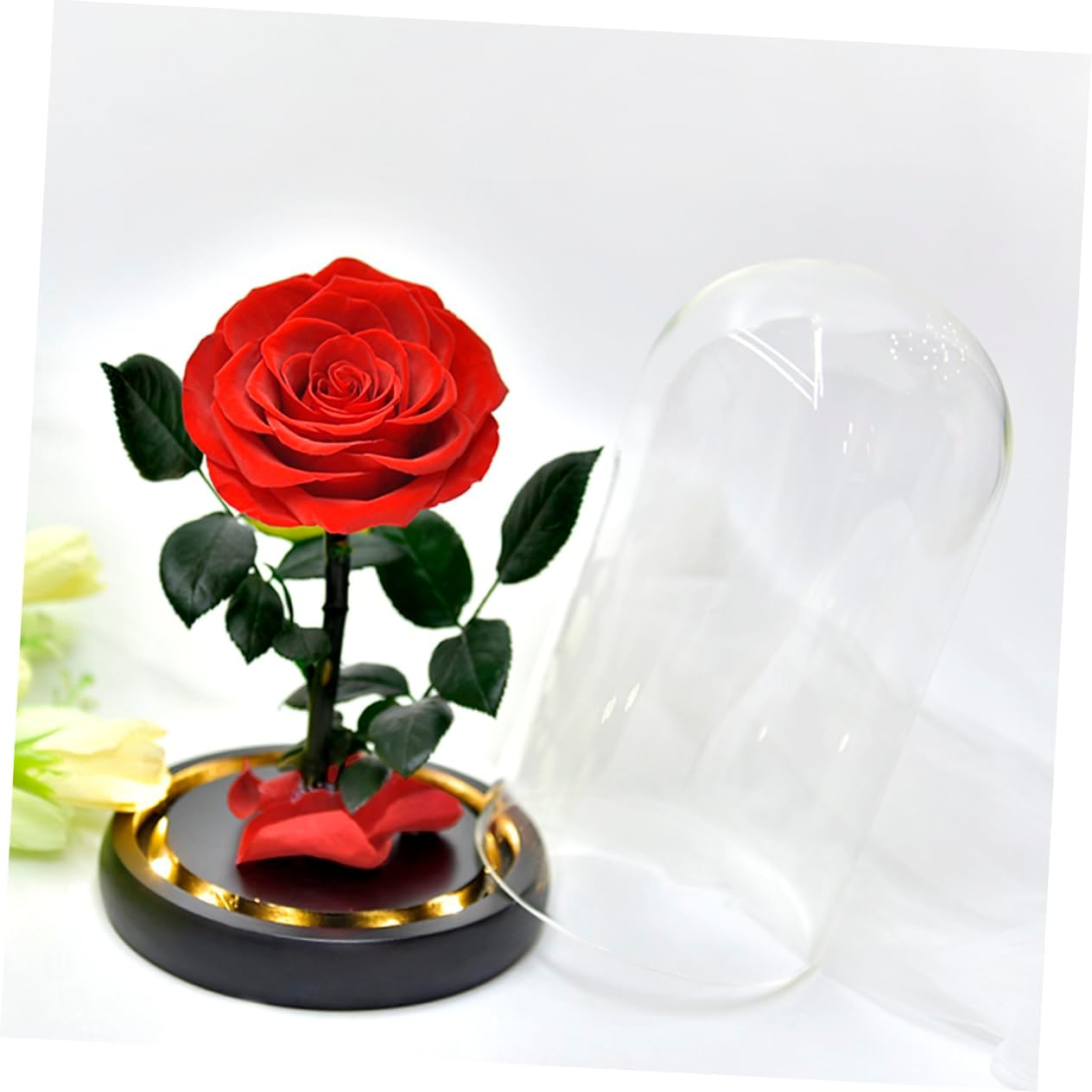 Cabilock Glowing Little Prince Present Box Preserved Rose Present Led Light-up Dome