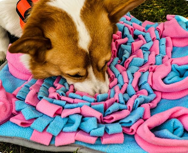 Miniatura 3 de Vedem Alfombrilla de olfato para animales pequeños, alfombrillas de forrajeo, juguete de alimentación interactiva, conejo, cobaya, rata, hámster,