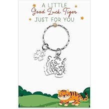 Animal Christmas Gifts Keyring Animal Gifts for Women Men Girls Boys Adults Sats Good Luck Gift for Animals Lover Animals Themed Gifts Birthday Valentines St Patricks Keychain With Cards