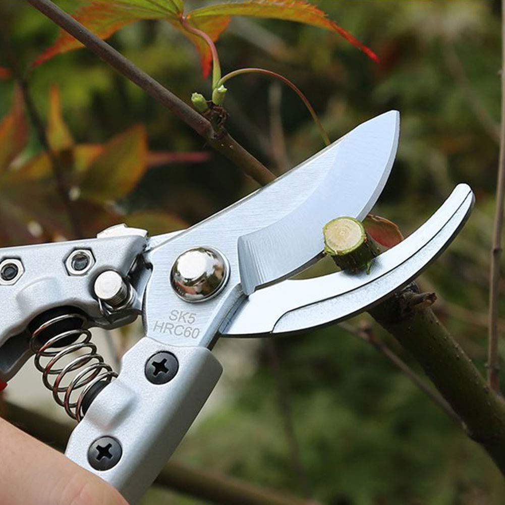 Household Labor-Saving Scissors Fruit Branch Shears Pruning Shears Garden Scissors Multi-Purpose Branch Scissors Saving Scissors,