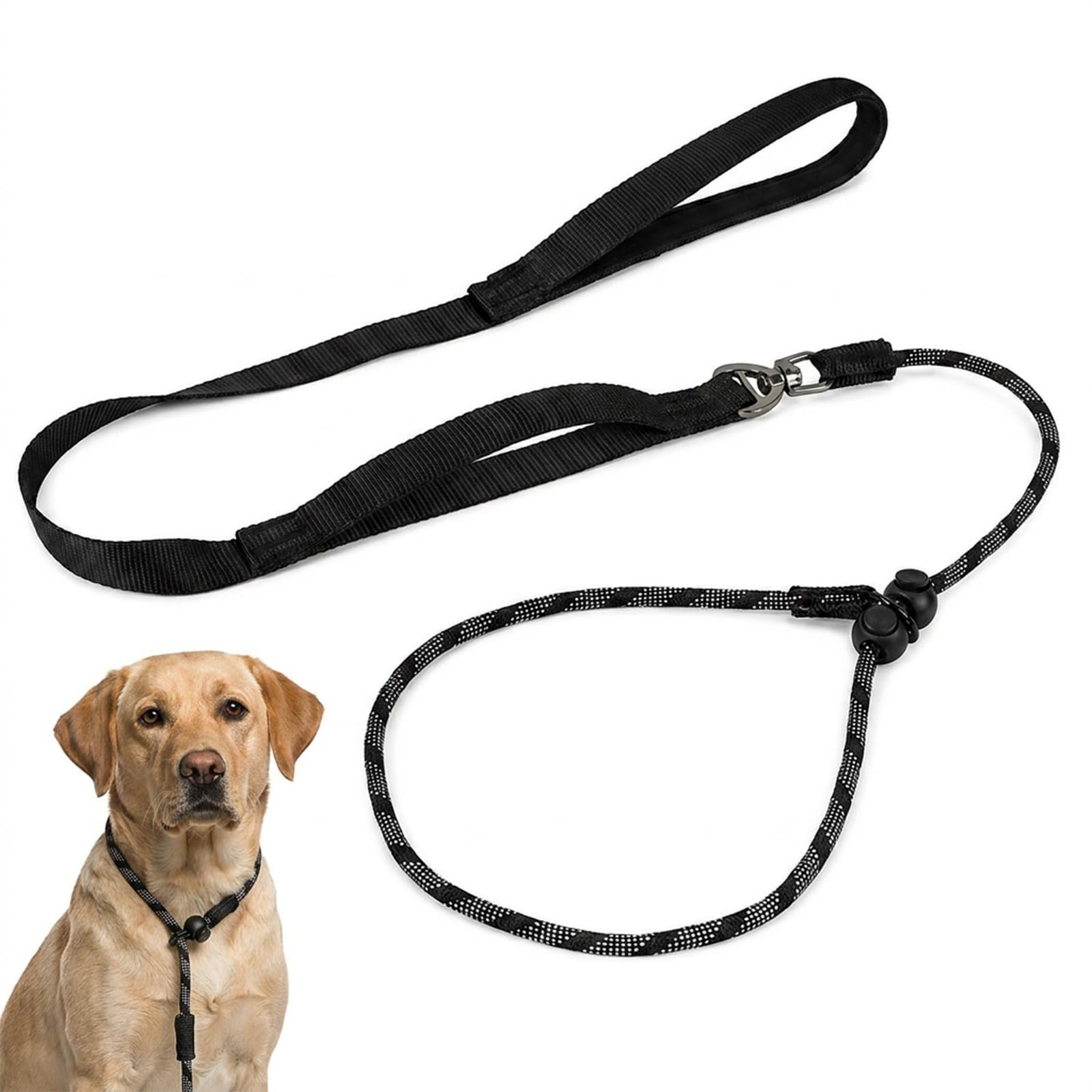 Slip Lead for Dogs, Dog Slip Lead, No Pull Dog Lead with Training Functionality, Multipurpose Pet Control Solution, 6mm by 150cm Black Design
