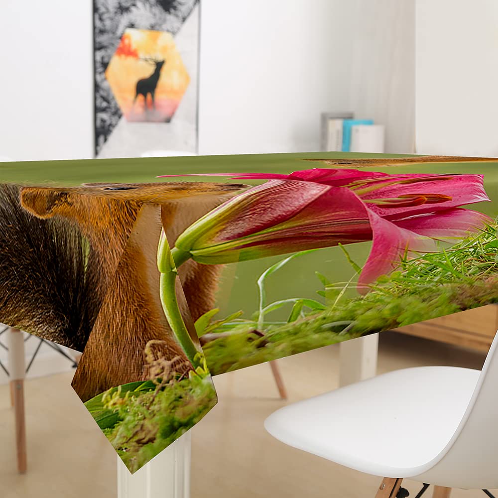 Hearda Nappe De Table Rectangle Anti Tache, Nappe De Cuisine Rectangulaire Motif Animalier 3D Nappe Impermeable Extérieur, Pour Fête De Mariage,Salle à Manger (120x120cm,Chouette