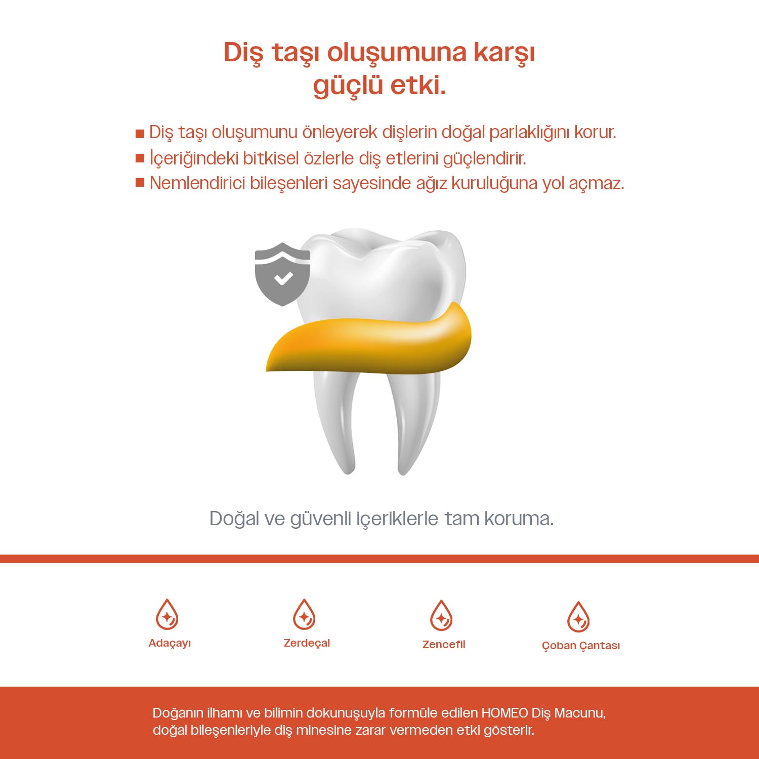 Homeo Bitkisel Diş Macunu | Diş Taşı Oluşumuna Karşı Beyazlatıcı | 75 ml