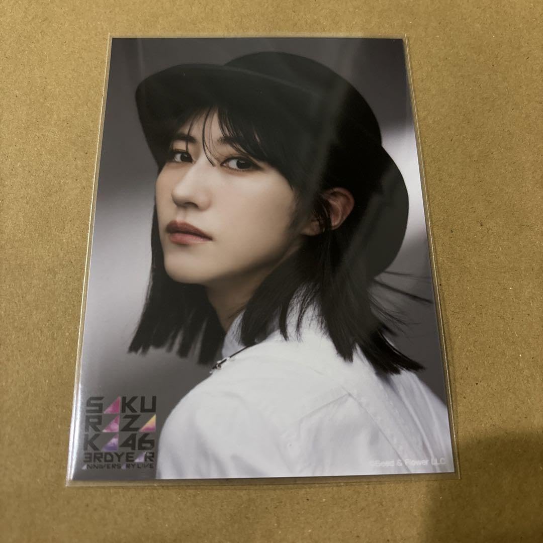 櫻坂46　土生瑞穂　ビッグアクリルスタンド27㎝ 櫻坂46 土生瑞穂 ビッグアクリルスタンド27㎝ 櫻坂46 土生瑞穂