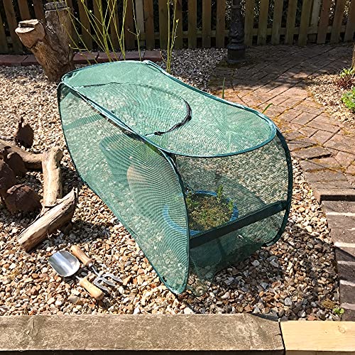 GardenSkill Pop Up Fruit Cage Garden Tunnel | Butterfly Mesh Insect Net Plant Protection Cover for Planter Grow Bag Pot Raised Bed | Mini Greenhouse Cloche for Strawberry Tomato Flower