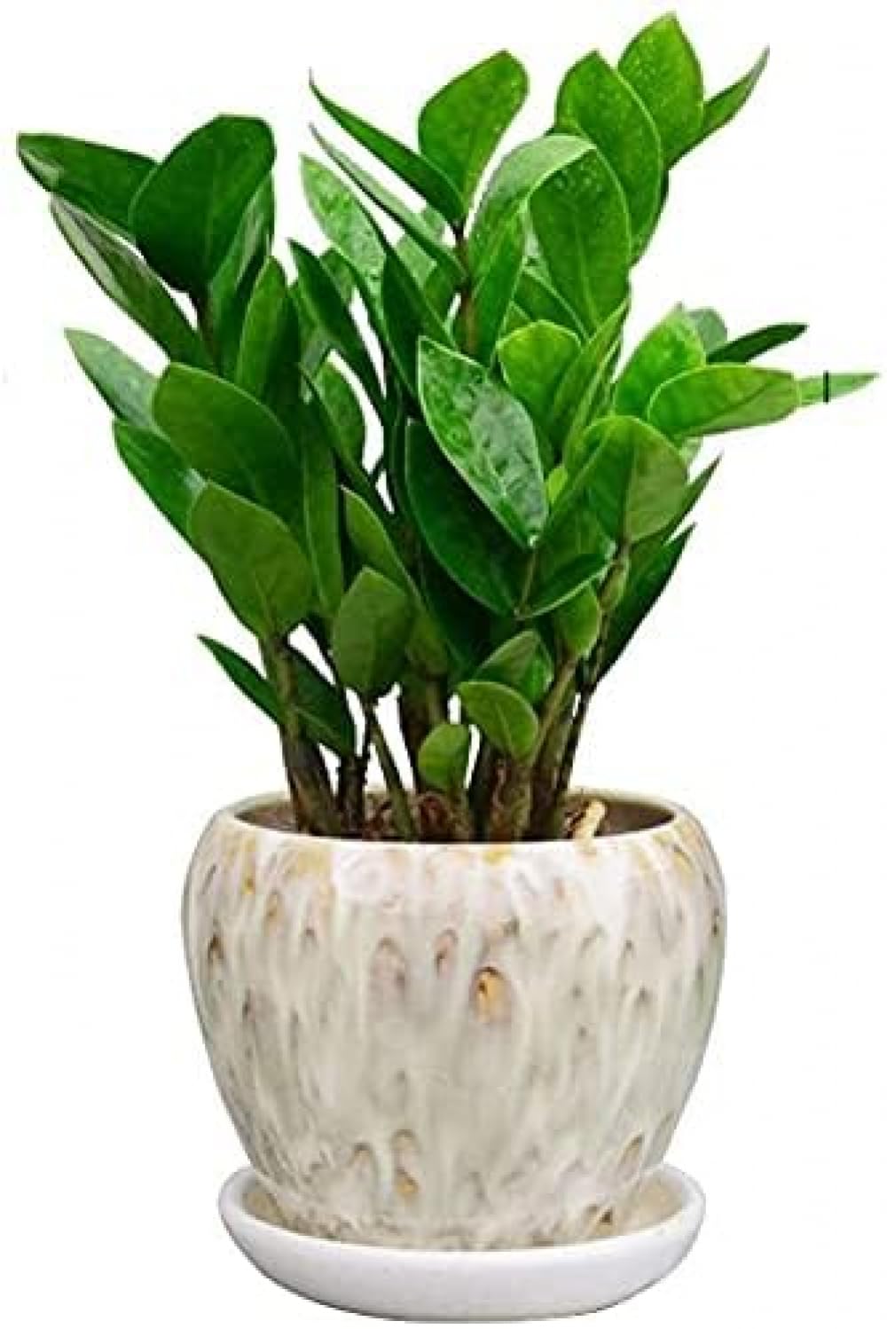 Ceramiczna doniczka domowe biurko niebieska mini doniczka na kwiaty glazurowana ceramiczna doniczka na kwiaty bonsai doniczki rośliny wazon zagęszczone kreatywne doniczki